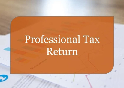 Professional Tax Return service in Vikrampuri, Telangana, Hyderabad
